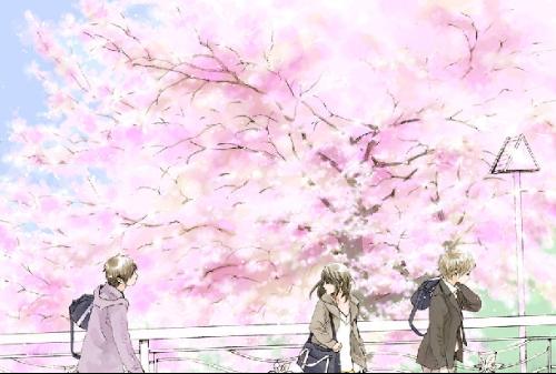 桃红世界最新官方入口